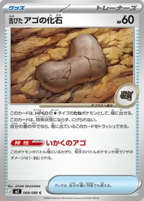 Jaw Fossil #68