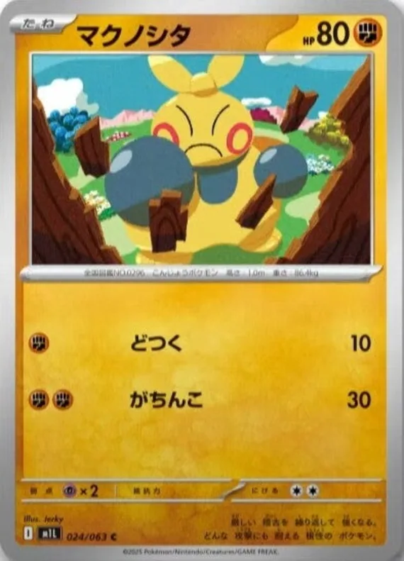Makuhita #24