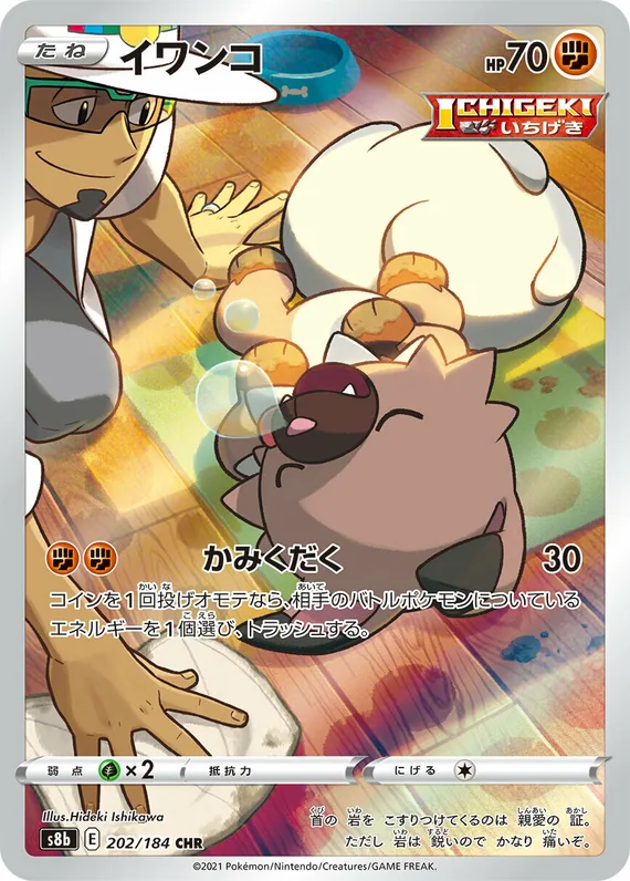 Rockruff #202