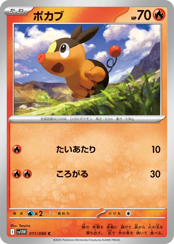 Tepig #11